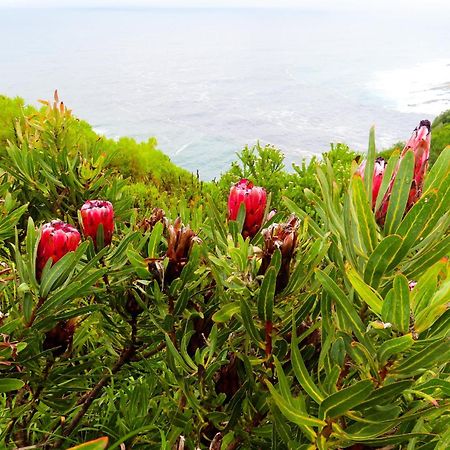 Misty Mountain Reserve ستورمزريفير المظهر الخارجي الصورة